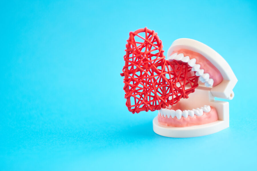 Dental model with heart decoration